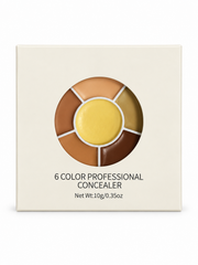 6 COLOR CONCEALER