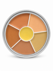 6 COLOR CONCEALER